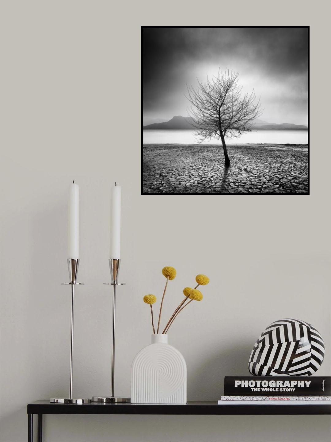 Dry Land Poster och Canvastavla