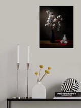 Cotton flowers Poster och Canvastavla