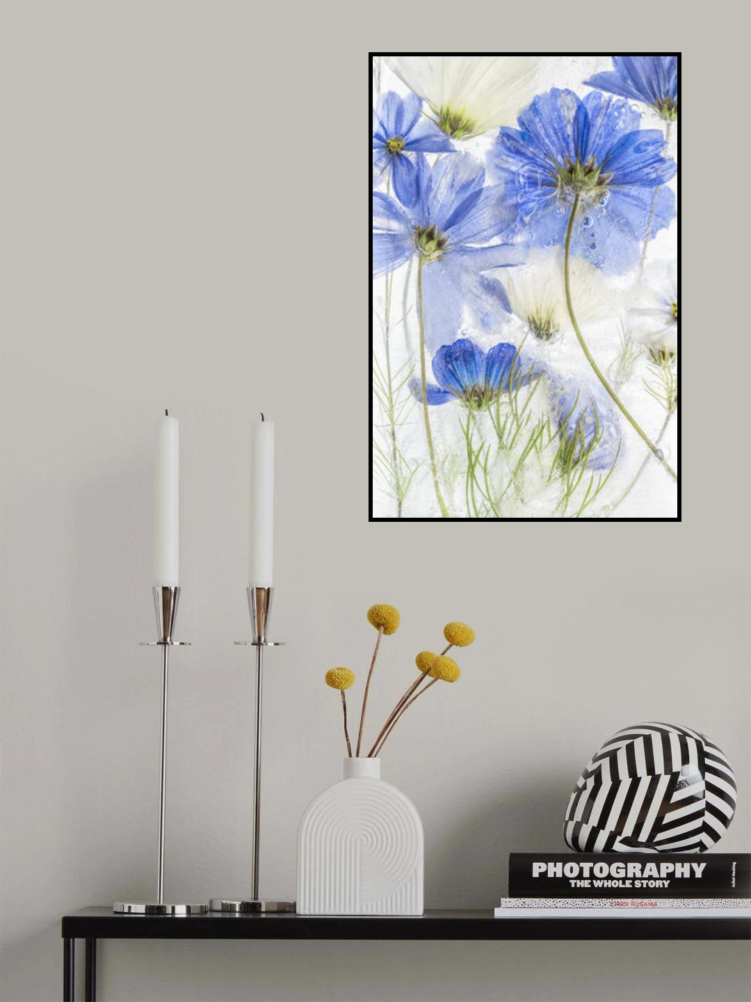 Cosmos blue Poster och Canvastavla