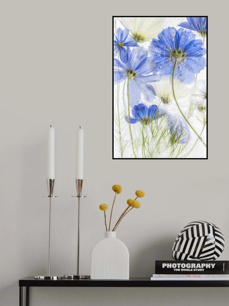 Cosmos blue Poster och Canvastavla