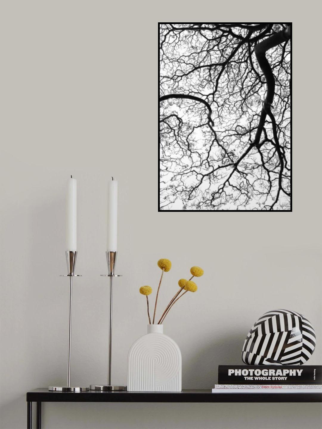 Durban Forest Poster och Canvastavla