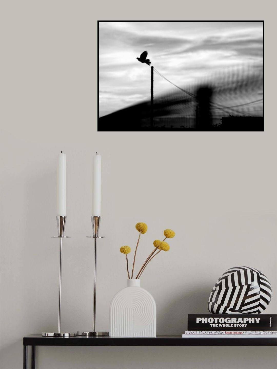 Fly away Poster och Canvastavla
