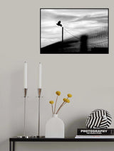 Fly away Poster och Canvastavla