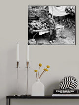 Green coconuts Poster och Canvastavla