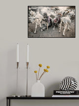 Relishing the taste Poster och Canvastavla