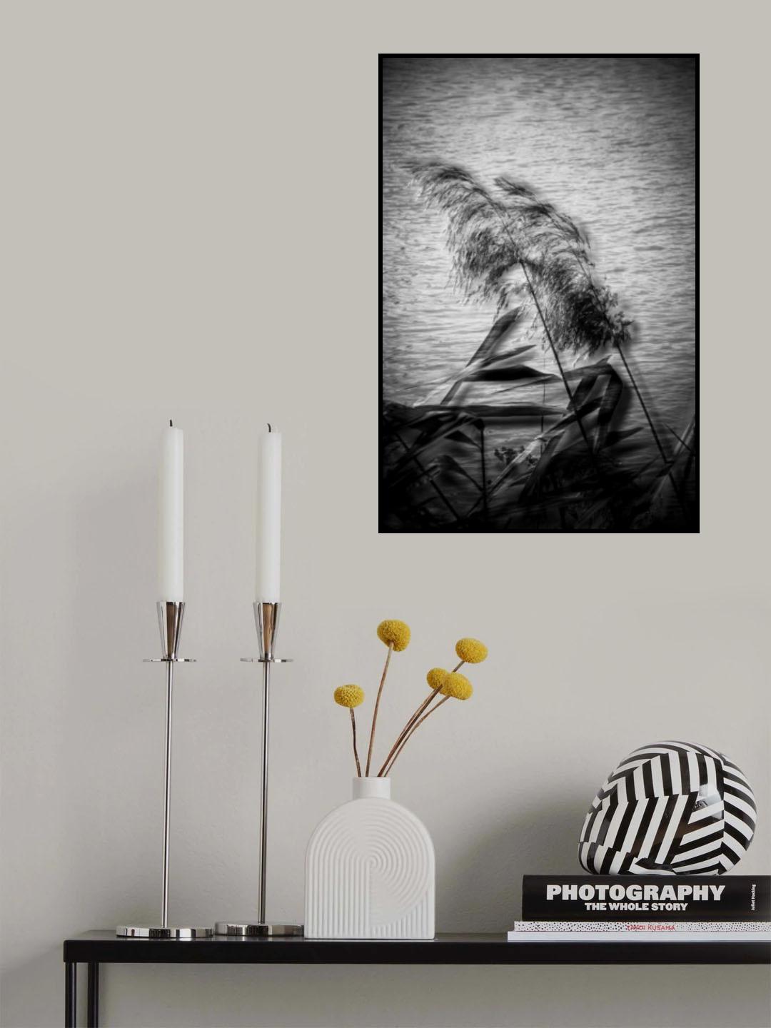 Poster och Canvastavla