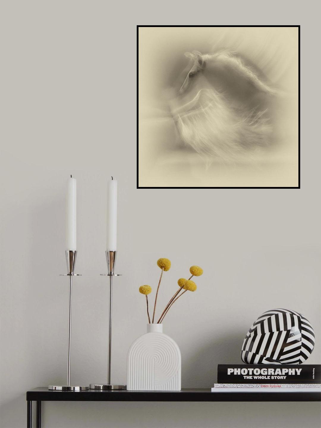 White on White Poster och Canvastavla