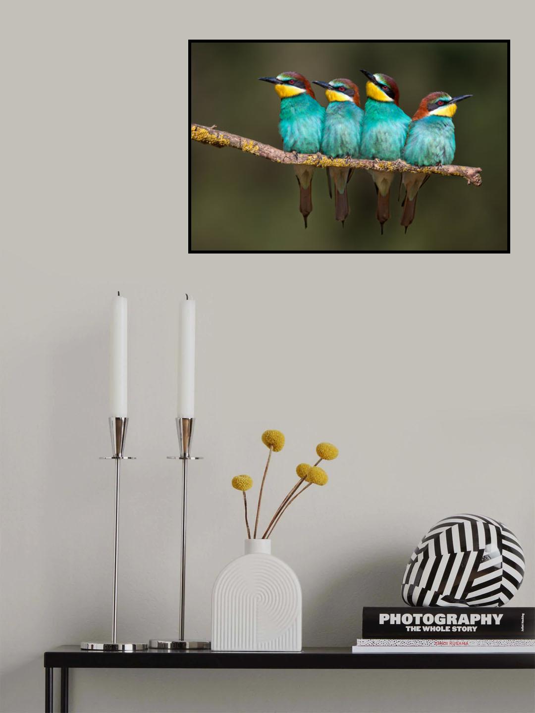 Bee-eater resting Poster och Canvastavla