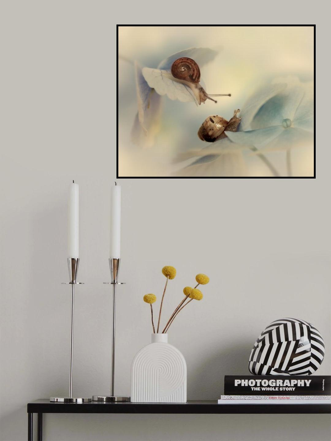 Snails Poster och Canvastavla