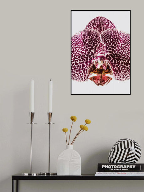 Leopard Orchid Poster och Canvastavla