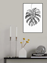 BW monstera leaf Poster och Canvastavla