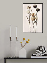 Glass Ball Flowers Poster och Canvastavla