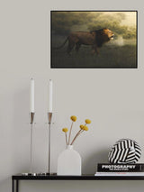 Foggy Lion Poster och Canvastavla