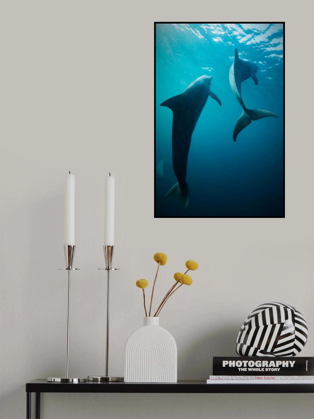 Shapes of water Poster och Canvastavla