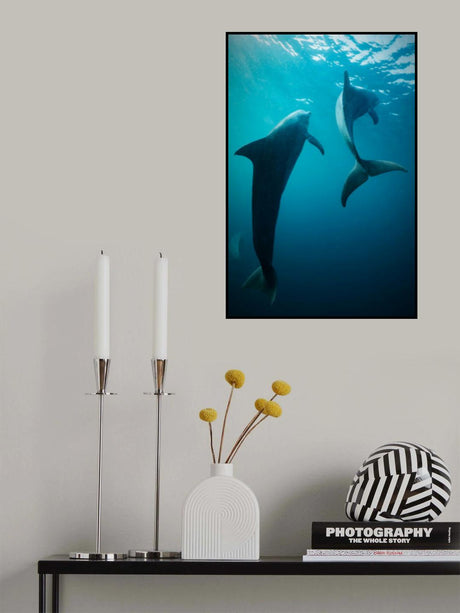 Shapes of water Poster och Canvastavla