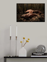 Requiem for a Lost Marque Poster och Canvastavla