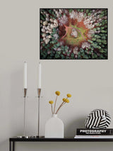 Autumn into Winter Poster och Canvastavla