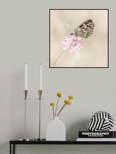 Softly. Poster och Canvastavla