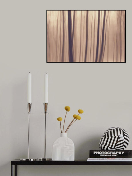 Trees In Forest 9 Poster och Canvastavla