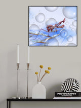 Punching ball... Poster och Canvastavla