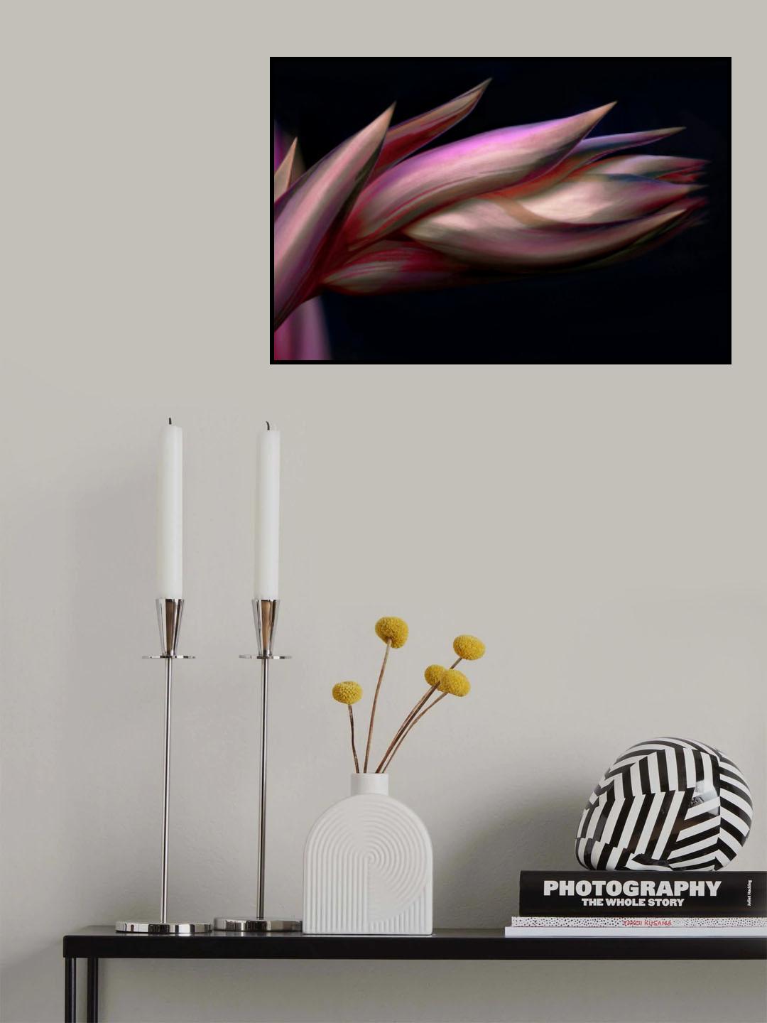 The tip of the Mexican Lily Poster och Canvastavla