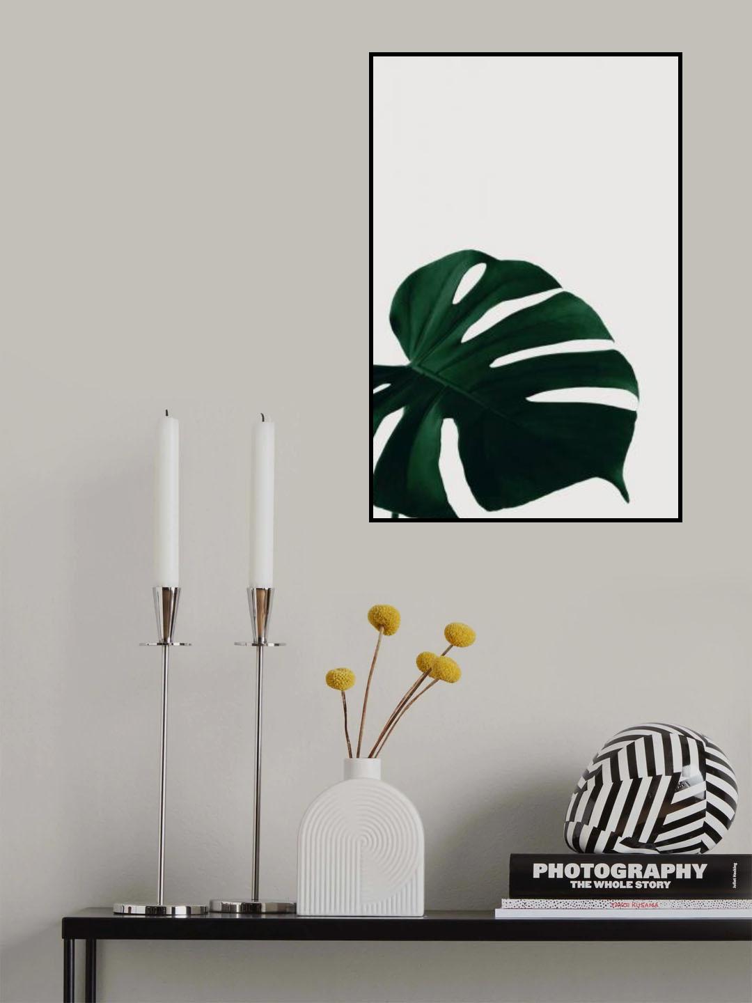 Monstera Natural 08 Poster och Canvastavla
