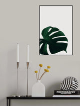 Monstera Natural 08 Poster och Canvastavla