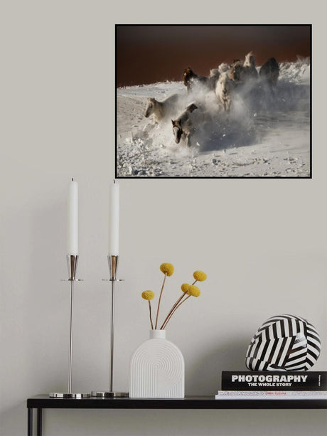 Running Horses Poster och Canvastavla
