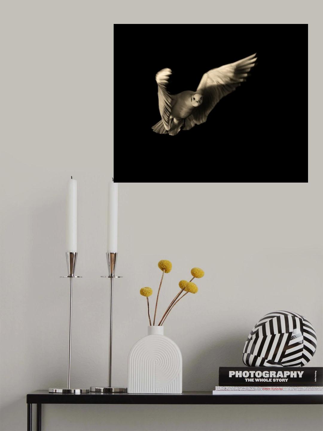 Air Breaking Poster och Canvastavla