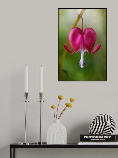 Bleeding Heart Poster och Canvastavla