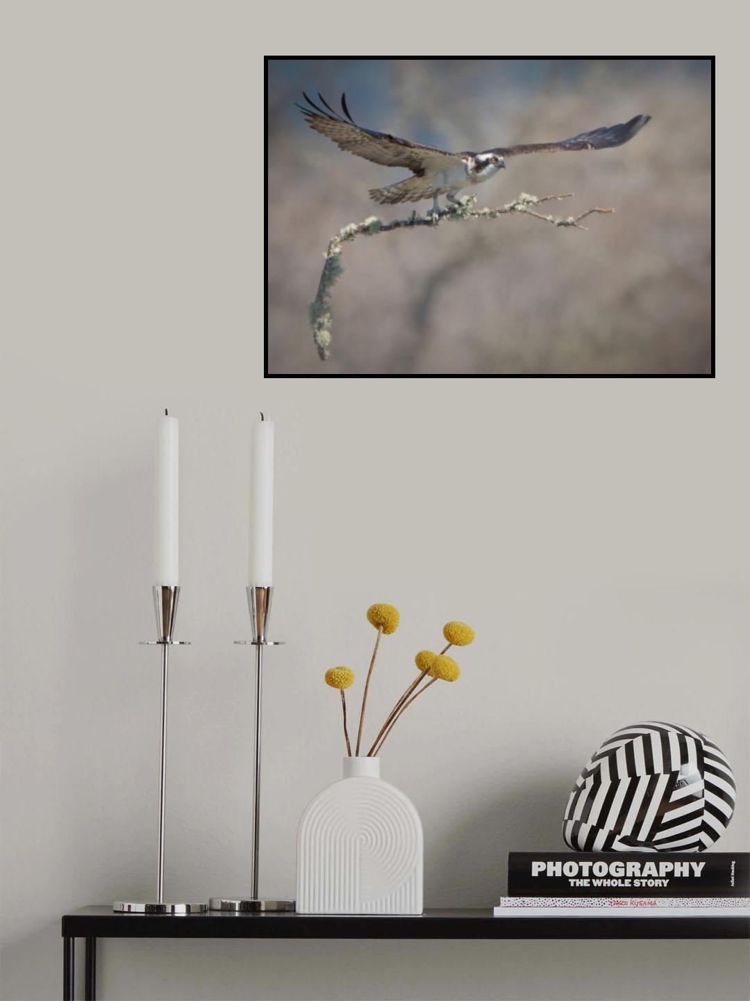 Nest Building Poster och Canvastavla
