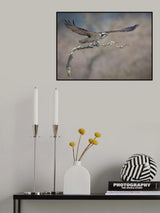 Nest Building Poster och Canvastavla