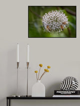 Vier Bienen Poster och Canvastavla