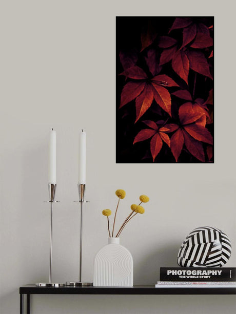 Dark Leaves 7X Poster och Canvastavla