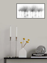 Willow in winter. Poster och Canvastavla