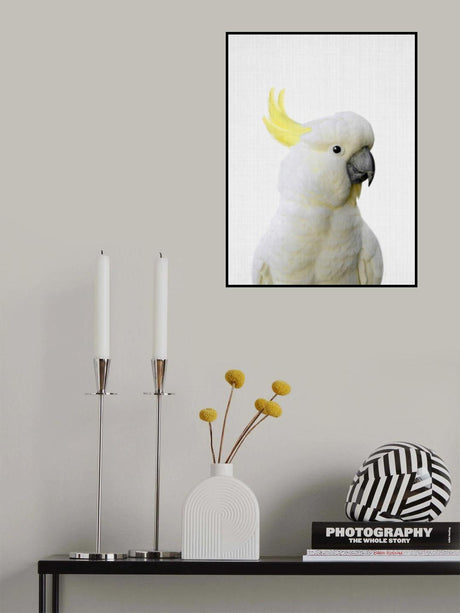 Peekaboo Cockatoo Poster och Canvastavla