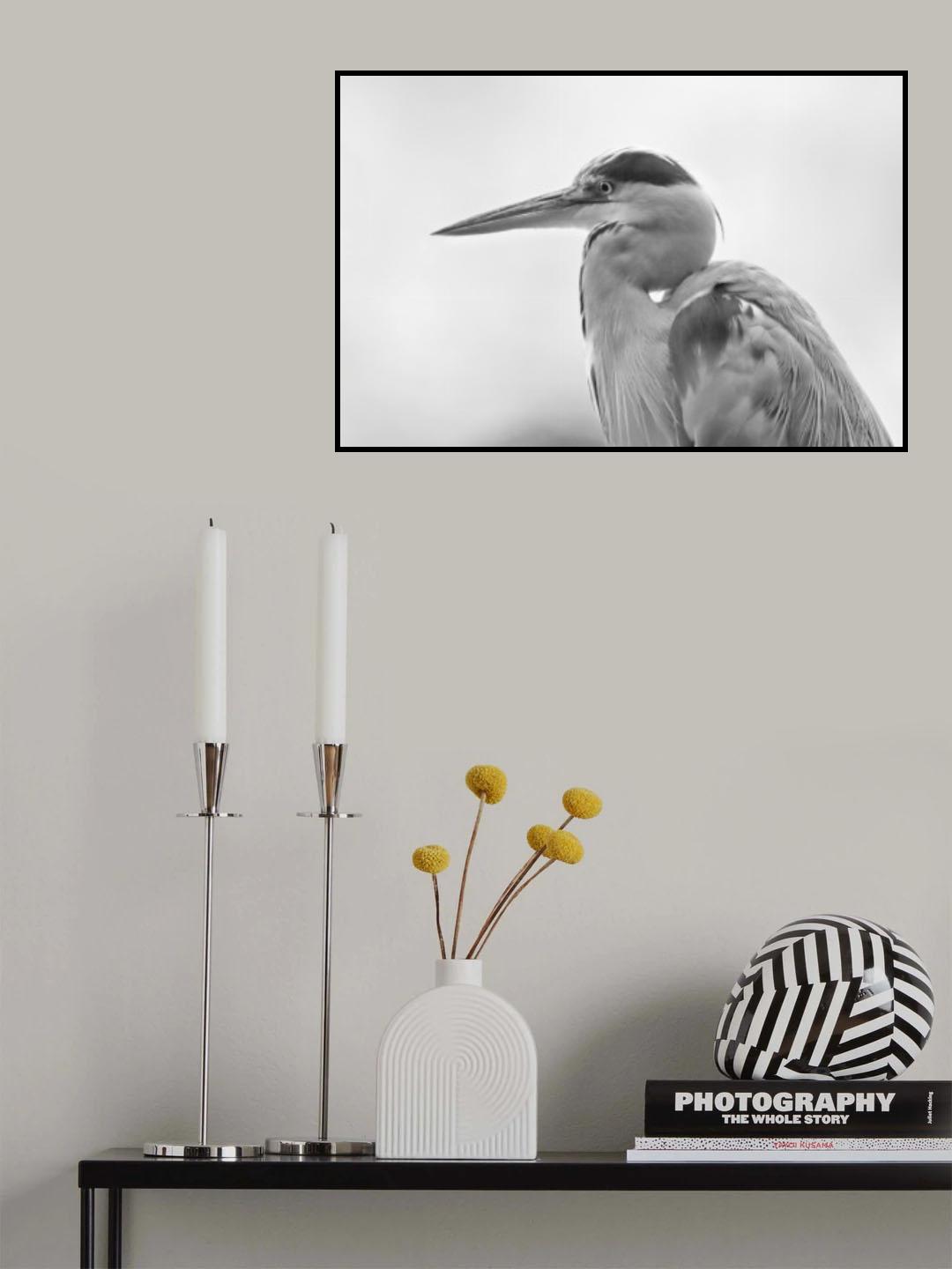 Heron Poster och Canvastavla