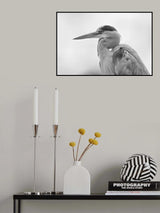Heron Poster och Canvastavla
