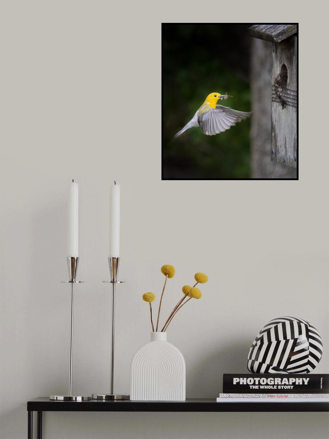 I am back Darling Poster och Canvastavla