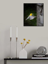 I am back Darling Poster och Canvastavla