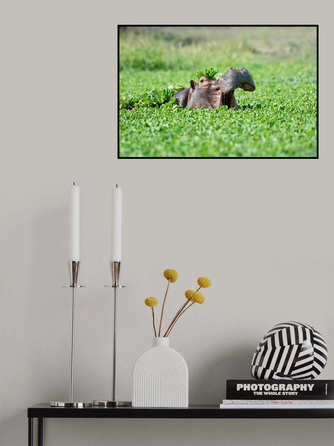 Emergence Poster och Canvastavla