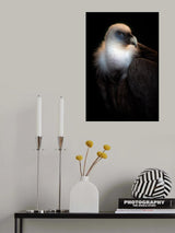 Look at my eyes Poster och Canvastavla