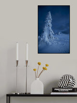 Frozen Poster och Canvastavla