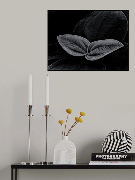 Two Leaves Poster och Canvastavla