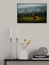 Old Lion Poster och Canvastavla