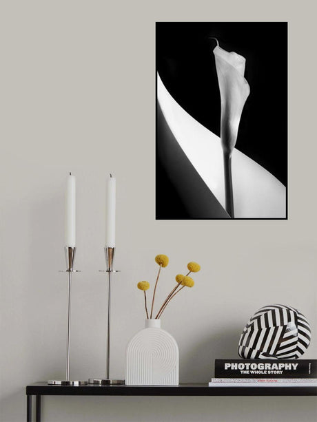 Calla lily Poster och Canvastavla