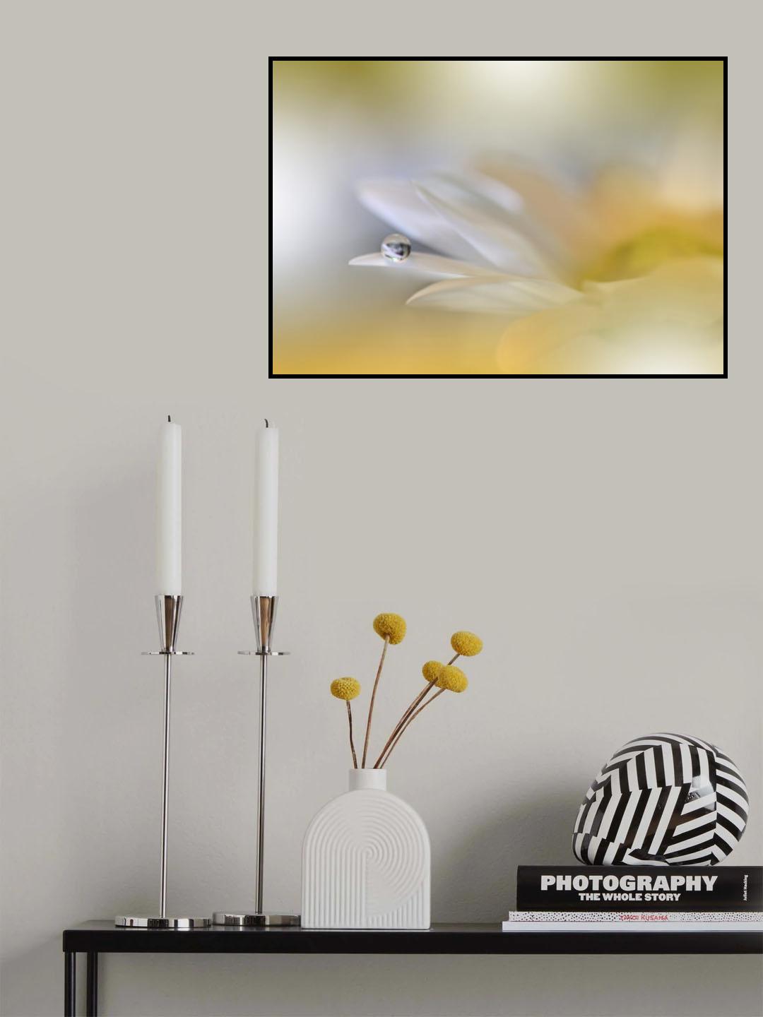 ** Poster och Canvastavla