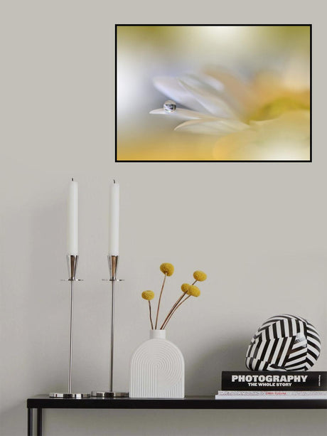 ** Poster och Canvastavla