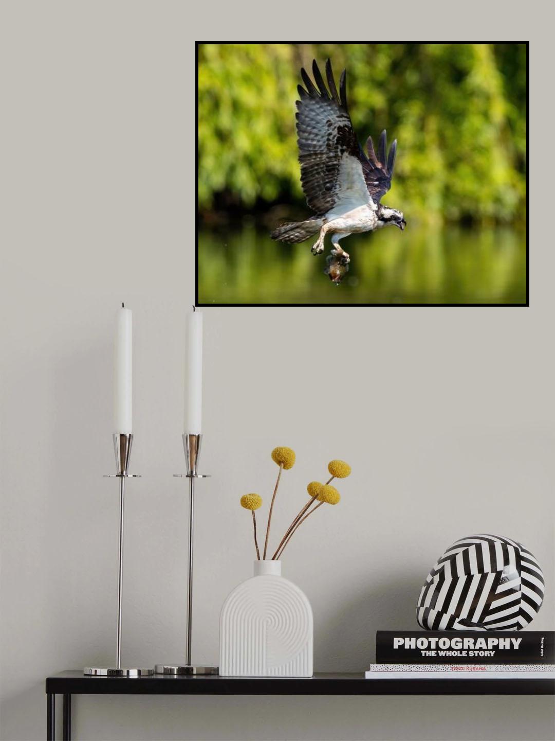 Carry it Home Poster och Canvastavla