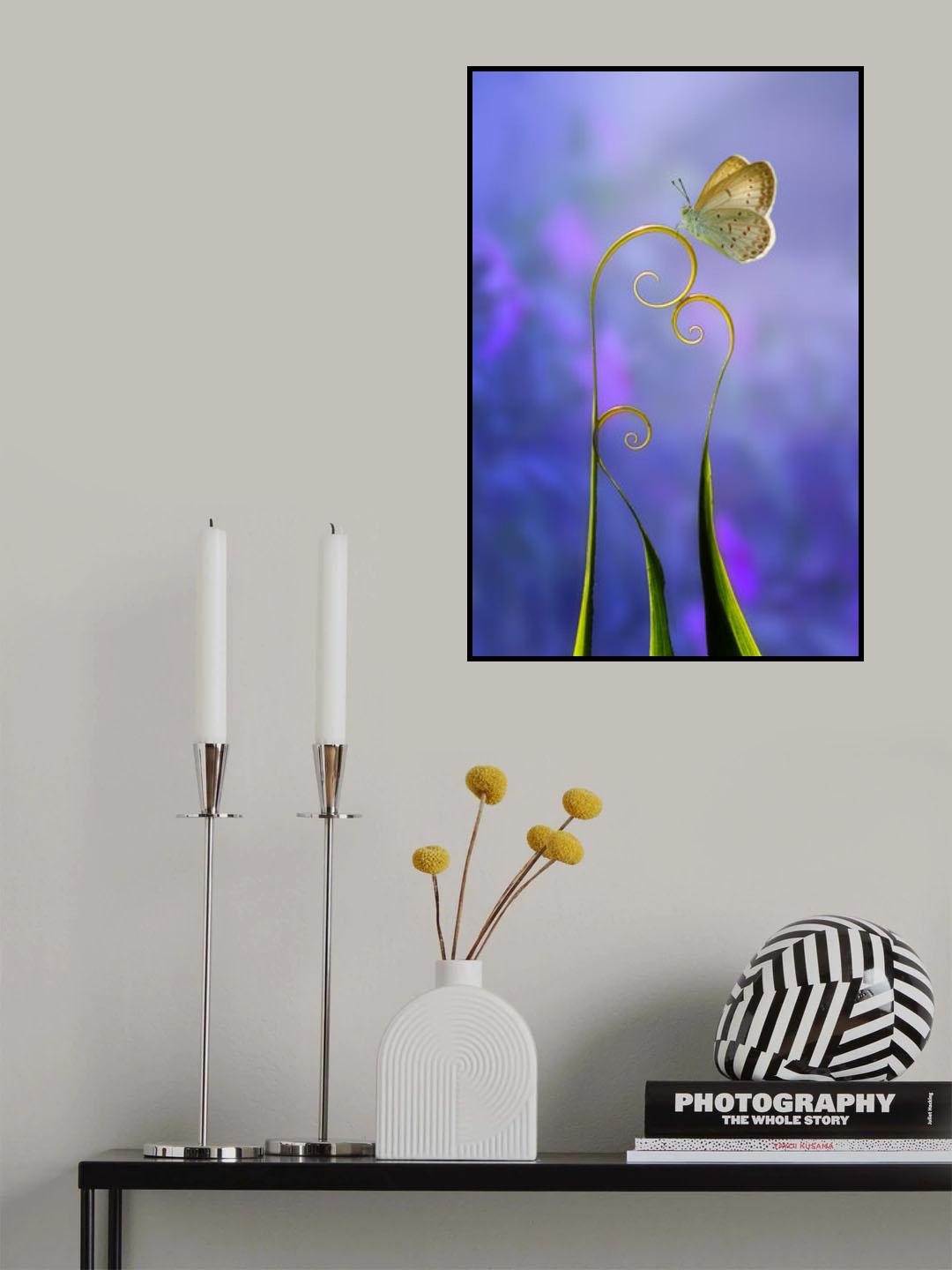 beautiful butterfly Poster och Canvastavla
